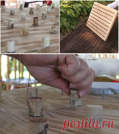 ДОСКА ДЛЯ РАССАЖИВАНИЯ