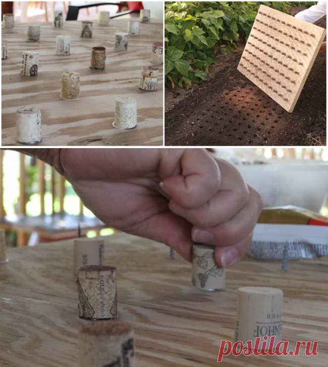 ДОСКА ДЛЯ РАССАЖИВАНИЯ