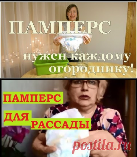 (4) Одноклассники