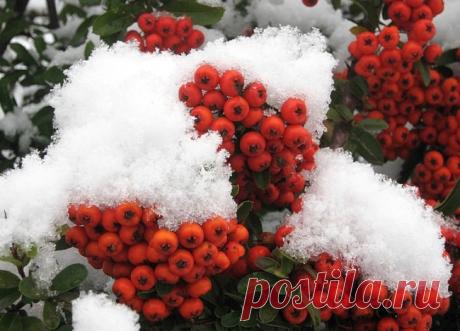 LASKA - Уже ноябрь... ~ Литература ~ Beesona.Ru