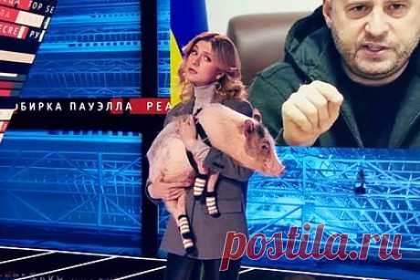 Собчак высмеяла появившуюся в студии со свиньей ведущую Первого канала. Журналистка Ксения Собчак высмеяла телеведущую Марию Бутину, появившуюся в программе «Куклы наследников Тутти» на Первом канале со свиньей на руках. Она предположила, что этот ход Бутина предприняла, чтобы привлечь внимание зрителей к передаче. Позднее она сама взяла в руки игрушечную собаку, спародировав Бутину.