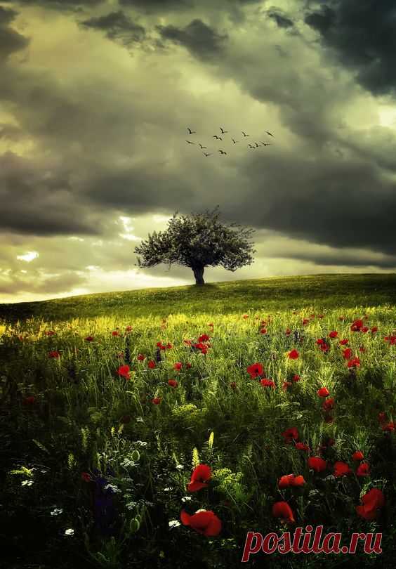 Ein Gewitter zieht auf ... by Bess™ на Fivehundredpx  |  Pinterest • Всемирный каталог идей