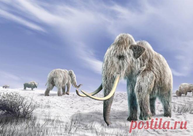 Загадки мамонтов Арктиды