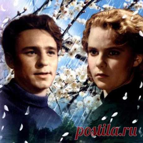 Весна на Заречной улице..........