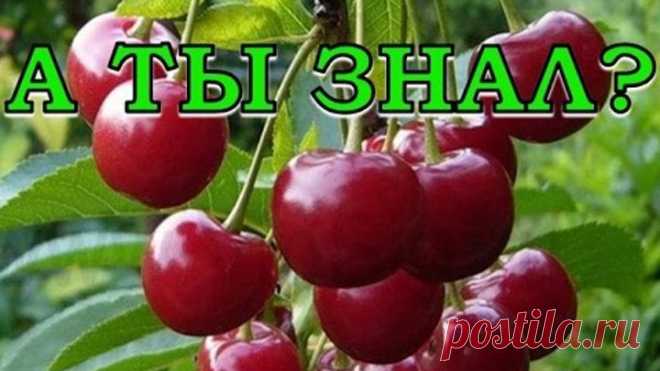 (11) Одноклассники
