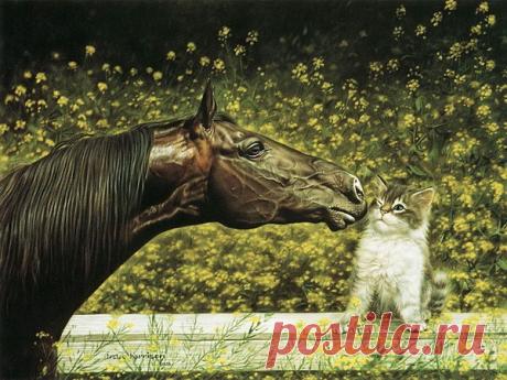 Грация и восхитительная красота лошадей