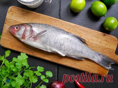 Какая рыба наиболее полезная для человека в возрасте от 40 до 50 лет — Женская страничка