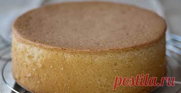 Король выпечки: виды бисквитного теста, которые нужно знать! - МирТесен