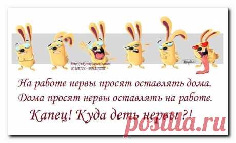 Жизненные цитаты из любимых мультфильмов