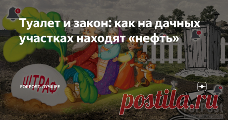 Туалет и закон: как на дачных участках находят «нефть» «Оставьте огородников в покое!» В этом году собственников садов и огородов начнут штрафовать за ремонт и мытьё автотранспорта на дачном участке, за туалет, расположенный не в том месте, и даже за растущую сорную траву. Однако, как считают садоводы, данные нормы будут введены для галочки. Вряд ли их кто-то будет исполнять. В этом нововведении и пытался разобраться ForPost. Подпишитесь на наш Телеграм-канал, чтобы быть в...