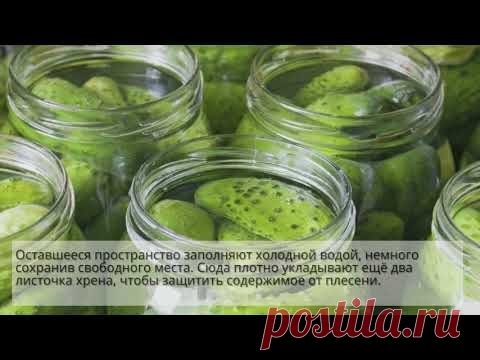 Простой рецепт вкусных солёных огурцов: видео