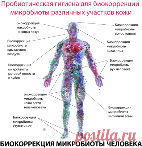 Заживление ран / КОСМЕТИКА. ГИГИЕНА / КУПИТЬ ПРОБИОТИКИ / ПРОБИОТИКИ В МОСКВЕ - санитарные пробиотики для уборки дома, бактерии способные очищать, бактерии санитары, моющие средства нового поколения, эко очистители, био очистители с бактериями, концентраты с бактериями, аэрозоли с бактериями, салфетки с бактериями производства компании Кризал