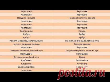 Севооборот овощей. Мои узкие грядки и как я делаю на них севооборот - таблицы