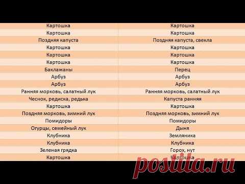 Севооборот овощей. Мои узкие грядки и как я делаю на них севооборот - таблицы