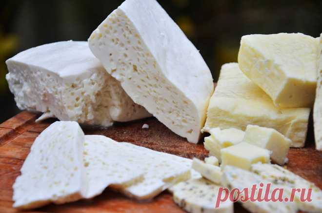 Сыр из козьего молока (брынза) - рецепт в домашних условиях Как приготовить домашнюю брынзу из козьего молока с ферментной закваской: пепсином Meito, рецепт с пошаговым фото и подробной инструкцией