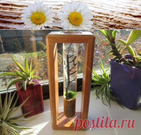 Миниатюрный аквариум как элемент декора ~ Planetalsad