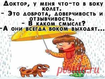 Выпуск №6419 - выпуск анекдотов сайта вокруг смеха