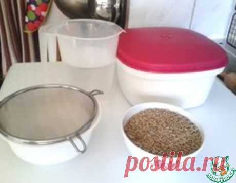 Ржаной солод – кулинарный рецепт