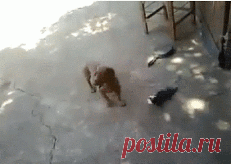 Google+
