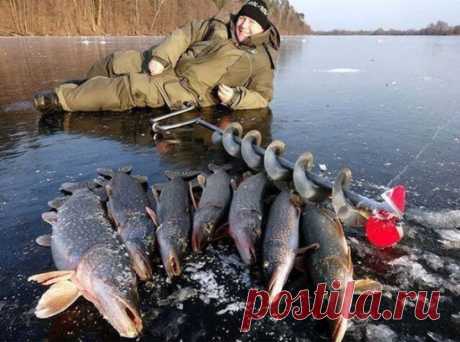 С рыбака по лайку)