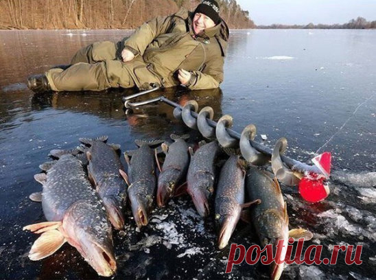 С рыбака по лайку)