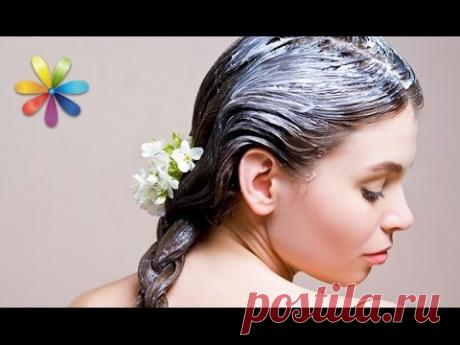 Маска для роста волос: плюс 10 см за 3 месяца – Все буде добре. Выпуск 916 от 17.11.16