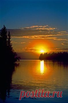 (56) Pinterest