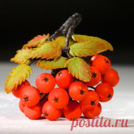Бижутерия с ягодами из полимерной глины » Charmelle.Pro
