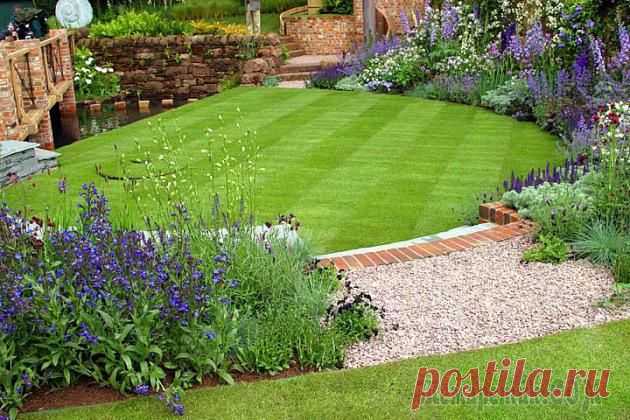 Какую траву выбрать для посадки газона: обзор первоклассных сортов + их фото