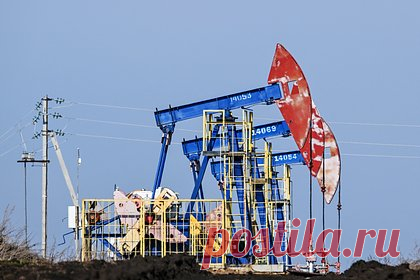 В Совфеде оценили ситуацию на рынке нефти после угроз Трампа