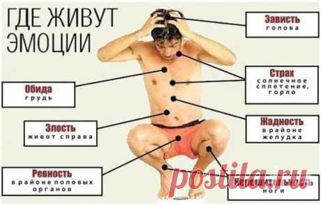 862612.jpg (600×384)