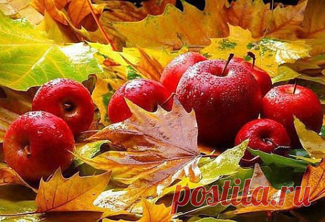(55) Одноклассники