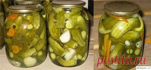 Огурчики вкуснейшие (с лимонной кислотой) Эти огурчики я закрываю уже много лет и они нам всем очень нравятся, рецепт просят все, кто попробовал! Они получаются хрустящими и необыкновенно вкусными!Итак, в стерилизованные баночки (можно стерилизовать одев баночку на отверстие в чайнике, или на спец. крышку для стерилизации,...
