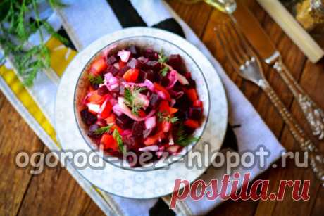 Салат из свеклы на каждый день, простой и вкусный рецепт с фото