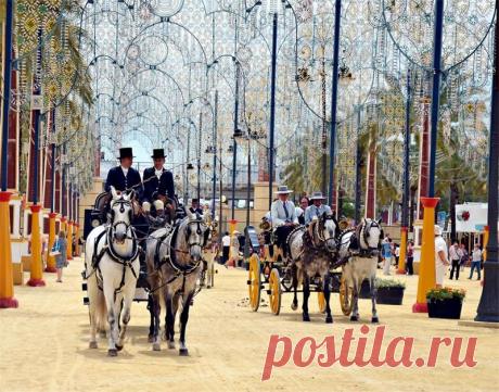 Большое путешествие по Южной Испании: Андалусия - Марбелья - Кадис - Малага - Сьерра - Невада - Ронда - Кордова - Гранада - Севилья