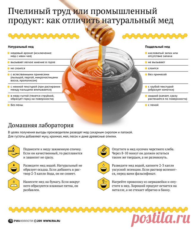 Как отличить настоящий мед от поддельного?