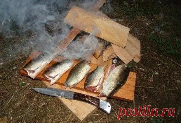 Как сохранить рыбу в походных условиях - Охота и рыбалка - медиаплатформа МирТесен