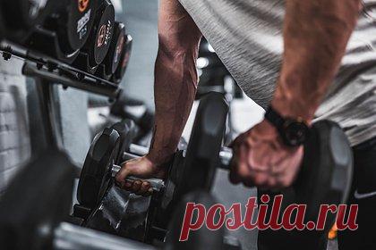 У любителей фитнеса обнаружили склонность к пьянству. Американские ученые обнаружили у любителей фитнеса склонность к пьянству. В ходе эксперимента на беговой дорожке было обнаружено, что более высокий уровень физической подготовки в значительной степени связан с более высоким потреблением алкоголя среди большой группы взрослых пациентов.