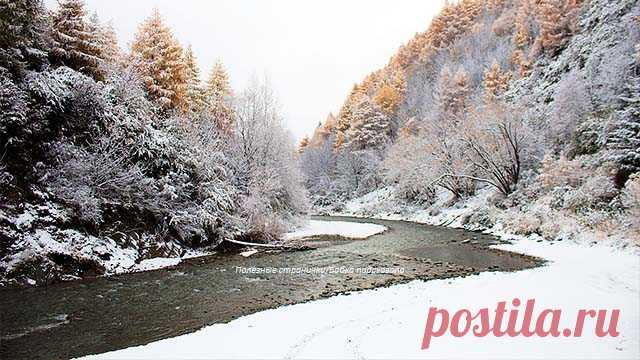 Какой праздник отмечается 17 февраля в народном календаре. Николай, Никола студёный, Никольские морозы. Народные приметы на предстоящую погоду 17 февраля. По народным приметам, если в день Николы студёного дождь пойдёт,...