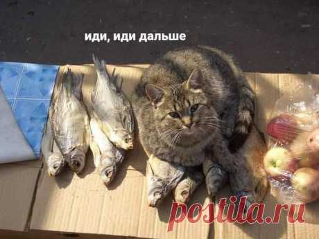 Хоть немного улыбнуться