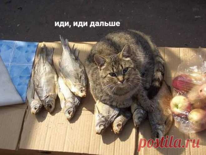 Хоть немного улыбнуться
