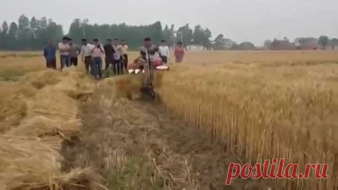 Китайский комбайн  Такого Вы не видели