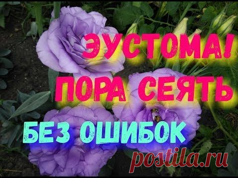 (2242) Pinterest