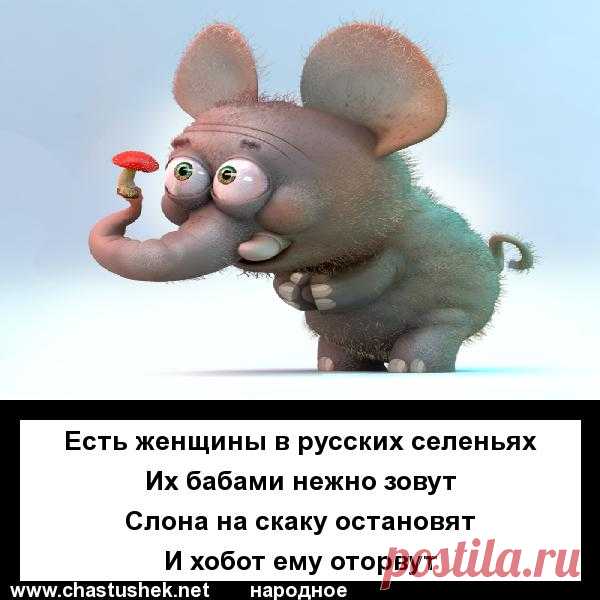 женщины