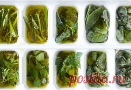 Заготовка свежей зелени | Делаем сами