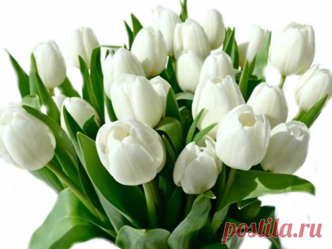 (52) Одноклассники