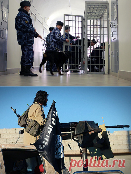 Смертная казнь для террористов - Русская планета