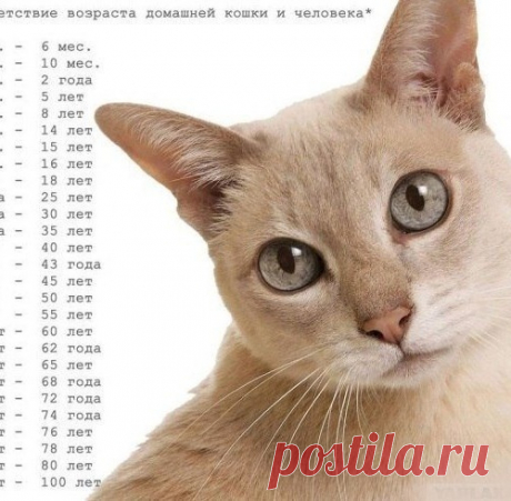 Посчитаем?