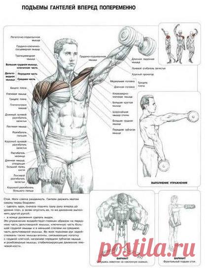 Одноклассники