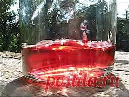 Целебные и специальные водки | Самые популярные и самые вкусные рецепты с видео